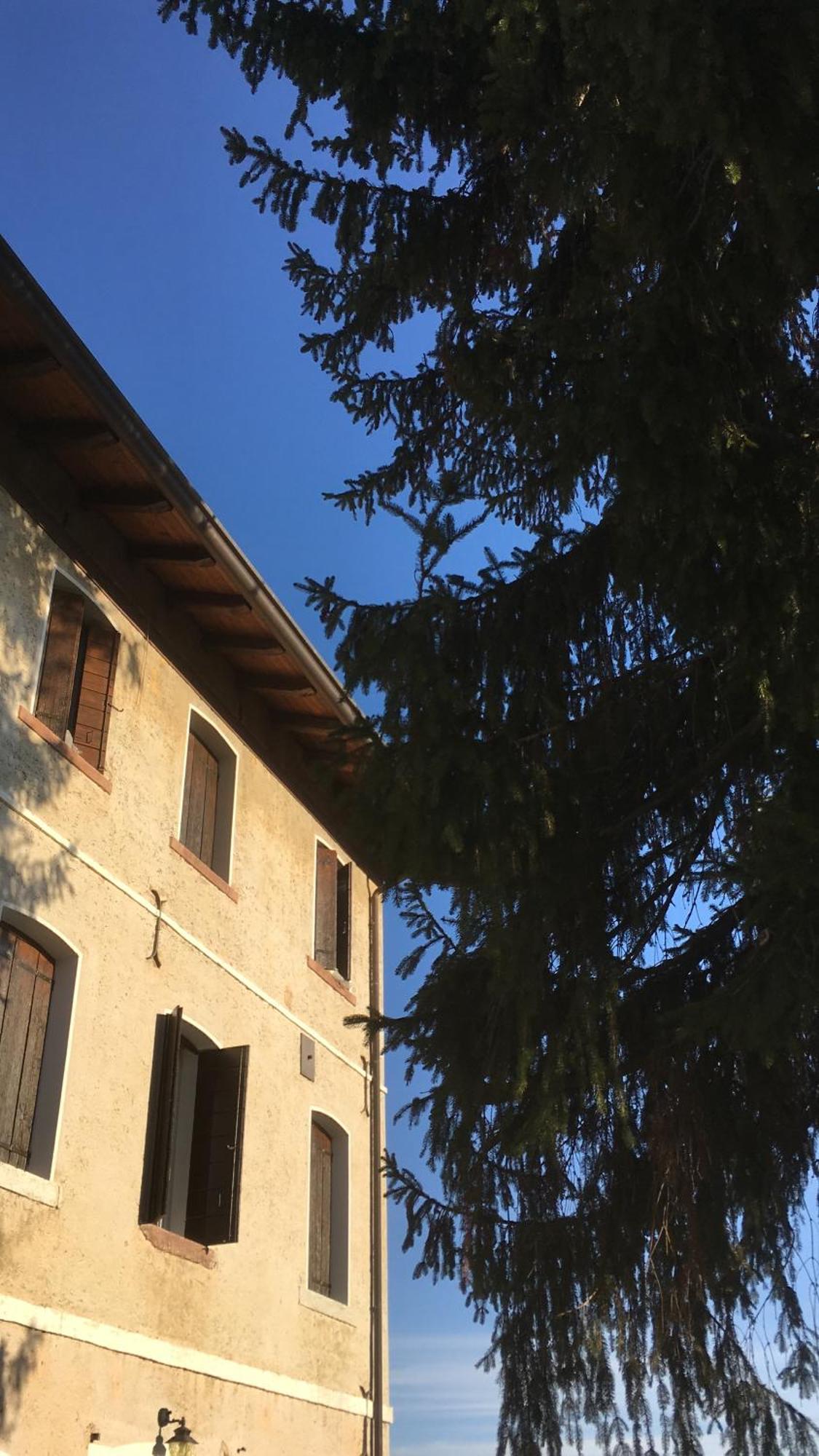 Caneva B&B Ernestine Family Home מראה חיצוני תמונה