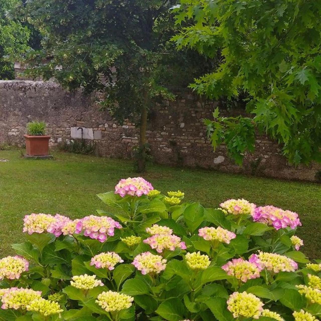 Caneva B&B Ernestine Family Home מראה חיצוני תמונה